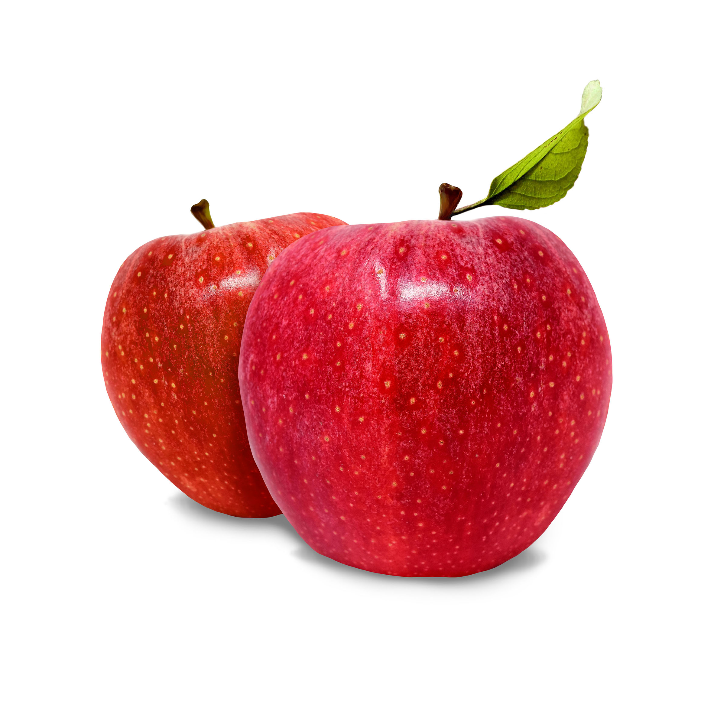 Apfellikör